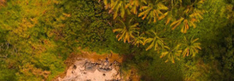 24k Purelife Productions – Event, Vacation, Aerial Drone Photographers & Photography Kihei HI