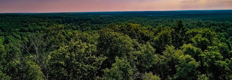 AP Aerials, LLC