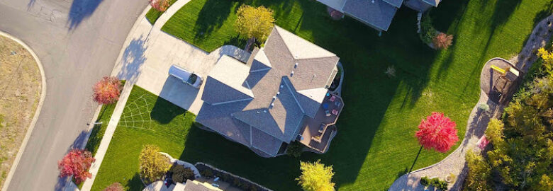 Birdlike Drone Solutions