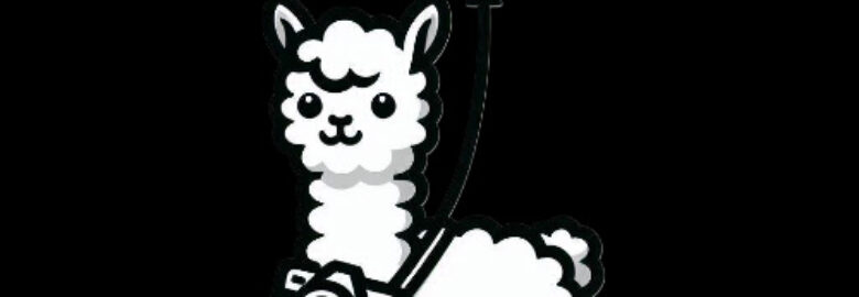 Aerialpaca