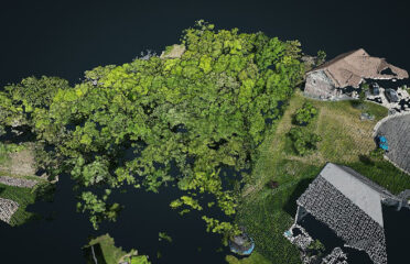 Eagle Eye Viewings