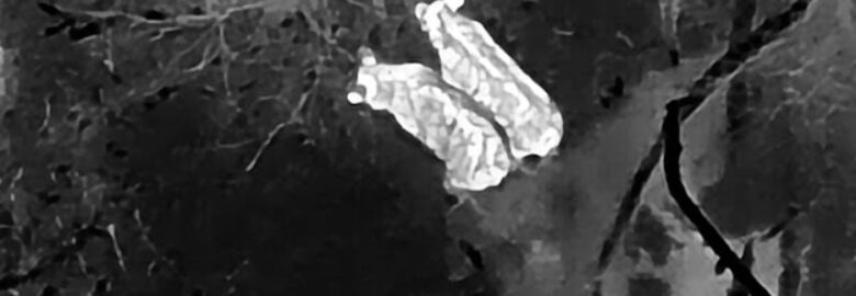 UAV ISR, LLC